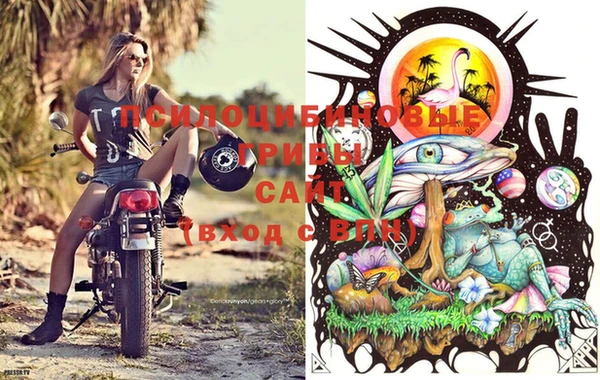 PSILOCYBIN Алзамай