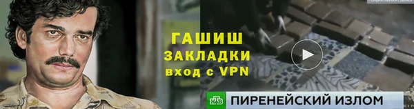 PSILOCYBIN Алзамай