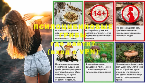 PSILOCYBIN Алзамай