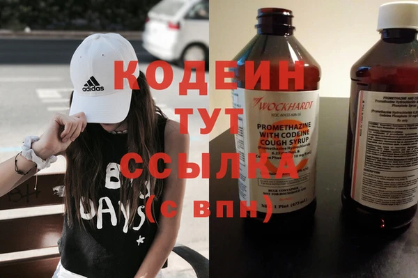 PSILOCYBIN Алзамай