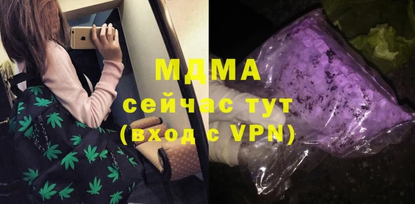 PSILOCYBIN Алзамай